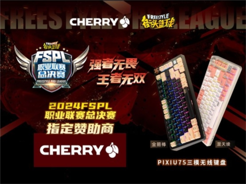 王者无双 CHERRY赞助2024FSPL职业联赛总决赛